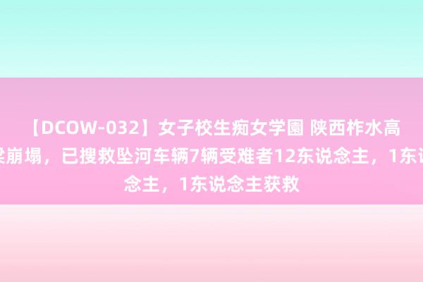 【DCOW-032】女子校生痴女学園 陕西柞水高速公路桥梁崩塌，已搜救坠河车辆7辆受难者12东说念主，1东说念主获救