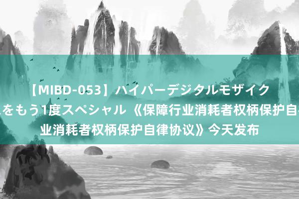 【MIBD-053】ハイパーデジタルモザイク あの娘のセックスをもう1度スペシャル 《保障行业消耗者权柄保护自律协议》今天发布