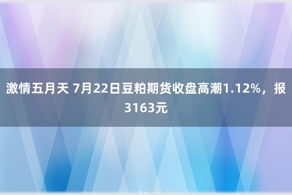 激情五月天 7月22日豆粕期货收盘高潮1.12%，报3163元