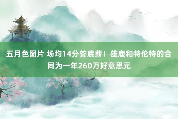 五月色图片 场均14分签底薪！雄鹿和特伦特的合同为一年260万好意思元