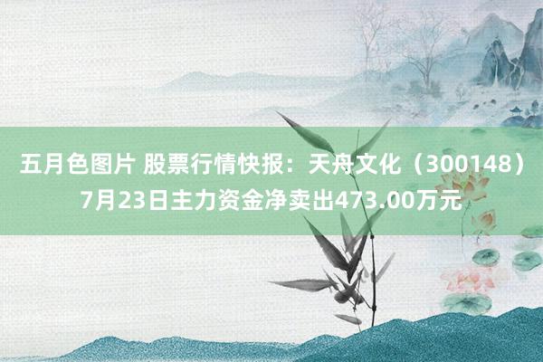 五月色图片 股票行情快报：天舟文化（300148）7月23日主力资金净卖出473.00万元