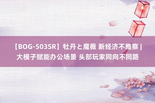 【BOG-503SR】牡丹と魔薇 新经济不雅察 | 大模子赋能办公场景 头部玩家同向不同路