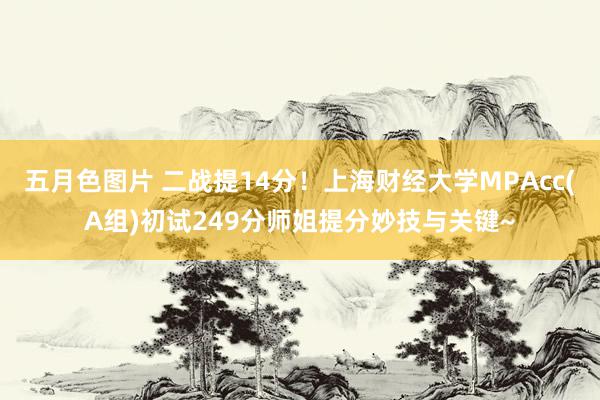 五月色图片 二战提14分！上海财经大学MPAcc(A组)初试249分师姐提分妙技与关键~