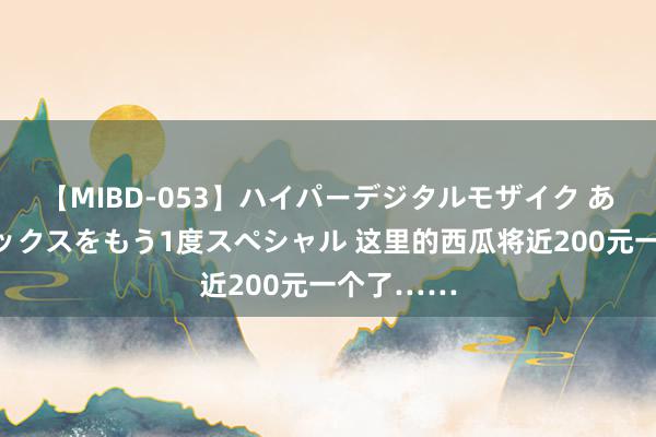 【MIBD-053】ハイパーデジタルモザイク あの娘のセックスをもう1度スペシャル 这里的西瓜将近200元一个了……