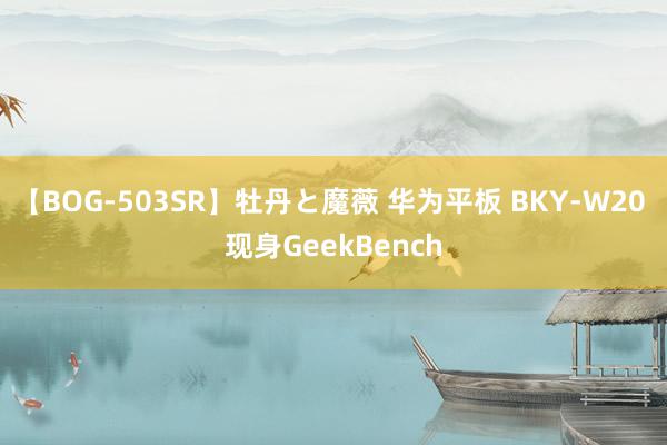 【BOG-503SR】牡丹と魔薇 华为平板 BKY-W20 现身GeekBench