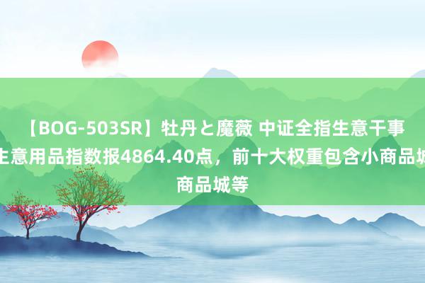 【BOG-503SR】牡丹と魔薇 中证全指生意干事与生意用品指数报4864.40点，前十大权重包含小商品城等