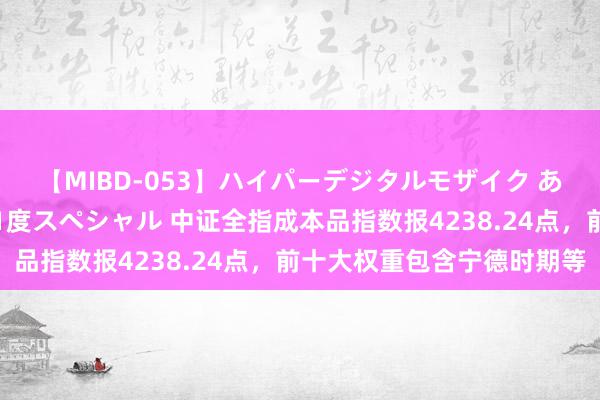 【MIBD-053】ハイパーデジタルモザイク あの娘のセックスをもう1度スペシャル 中证全指成本品指数报4238.24点，前十大权重包含宁德时期等