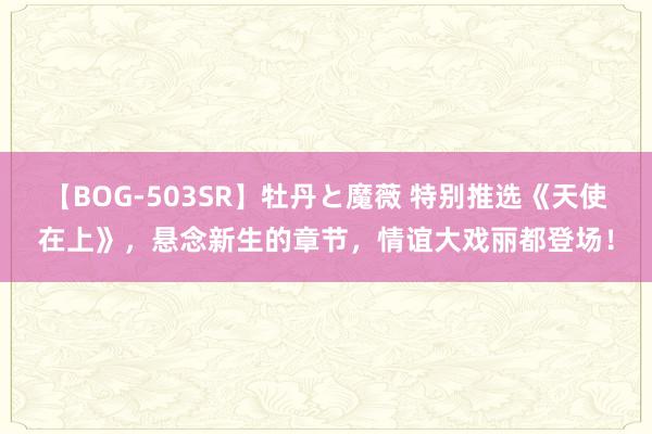 【BOG-503SR】牡丹と魔薇 特别推选《天使在上》，悬念新生的章节，情谊大戏丽都登场！