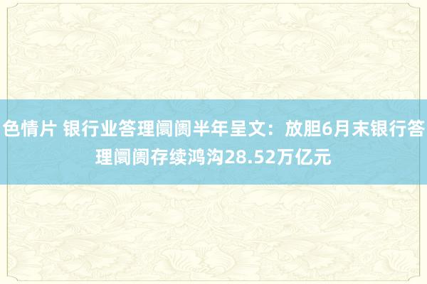 色情片 银行业答理阛阓半年呈文：放胆6月末银行答理阛阓存续鸿沟28.52万亿元