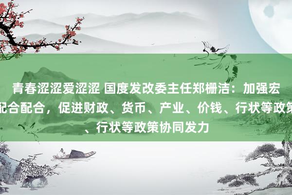 青春涩涩爱涩涩 国度发改委主任郑栅洁：加强宏不雅政策配合配合，促进财政、货币、产业、价钱、行状等政策协同发力