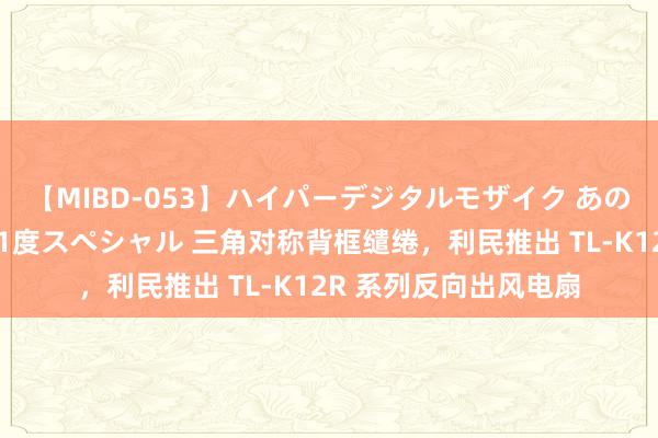 【MIBD-053】ハイパーデジタルモザイク あの娘のセックスをもう1度スペシャル 三角对称背框缱绻，利民推出 TL-K12R 系列反向出风电扇