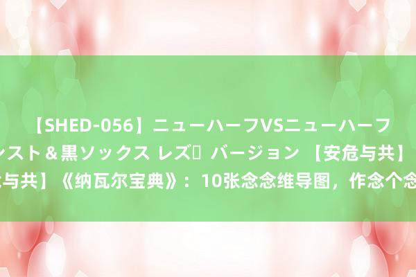 【SHED-056】ニューハーフVSニューハーフ 不純同性肛遊 3 黒パンスト＆黒ソックス レズ・バージョン 【安危与共】《纳瓦尔宝典》：10张念念维导图，作念个念念路明晰的念念考者