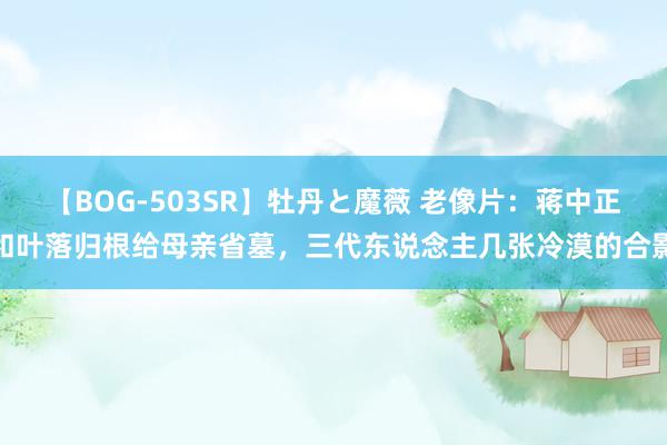 【BOG-503SR】牡丹と魔薇 老像片：蒋中正和叶落归根给母亲省墓，三代东说念主几张冷漠的合影