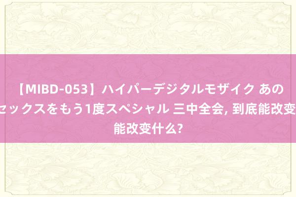 【MIBD-053】ハイパーデジタルモザイク あの娘のセックスをもう1度スペシャル 三中全会, 到底能改变什么?