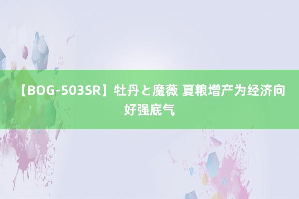 【BOG-503SR】牡丹と魔薇 夏粮增产为经济向好强底气