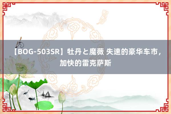 【BOG-503SR】牡丹と魔薇 失速的豪华车市，加快的雷克萨斯