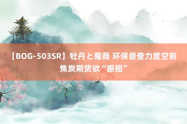 【BOG-503SR】牡丹と魔薇 环保督查力度空前 焦炭期货欲“振翅”