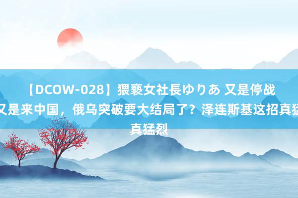 【DCOW-028】猥褻女社長ゆりあ 又是停战，又是来中国，俄乌突破要大结局了？泽连斯基这招真猛烈