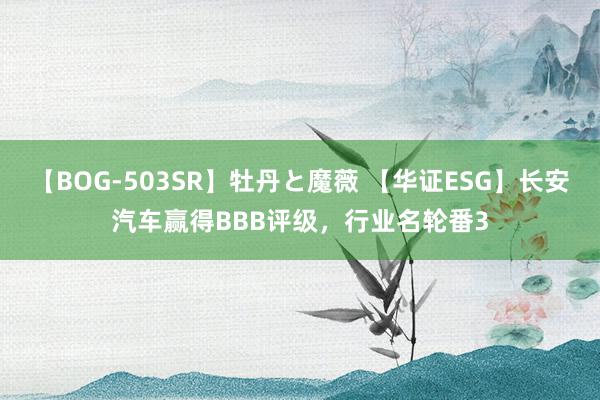 【BOG-503SR】牡丹と魔薇 【华证ESG】长安汽车赢得BBB评级，行业名轮番3