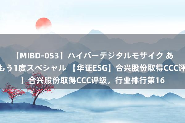 【MIBD-053】ハイパーデジタルモザイク あの娘のセックスをもう1度スペシャル 【华证ESG】合兴股份取得CCC评级，行业排行第16