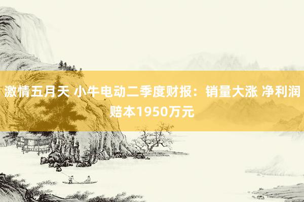 激情五月天 小牛电动二季度财报：销量大涨 净利润赔本1950万元