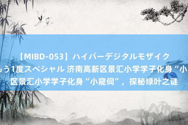 【MIBD-053】ハイパーデジタルモザイク あの娘のセックスをもう1度スペシャル 济南高新区景汇小学学子化身“小窥伺”，探秘绿叶之谜