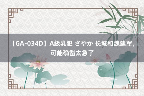 【GA-034D】A級乳犯 さやか 长城和魏建军，可能确凿太急了