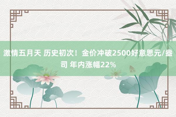 激情五月天 历史初次！金价冲破2500好意思元/盎司 年内涨幅22%