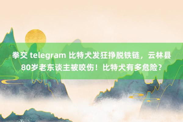 拳交 telegram 比特犬发狂挣脱铁链，云林县80岁老东谈主被咬伤！比特犬有多危险？