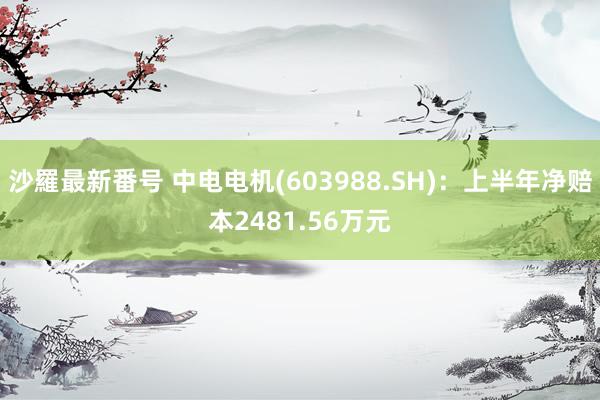 沙羅最新番号 中电电机(603988.SH)：上半年净赔本2481.56万元