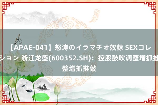 【APAE-041】怒涛のイラマチオ奴隷 SEXコレクション 浙江龙盛(600352.SH)：控股鼓吹调整增抓推敲