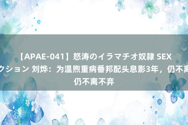 【APAE-041】怒涛のイラマチオ奴隷 SEXコレクション 刘烨：为温煦重病番邦配头息影3年，仍不离不弃